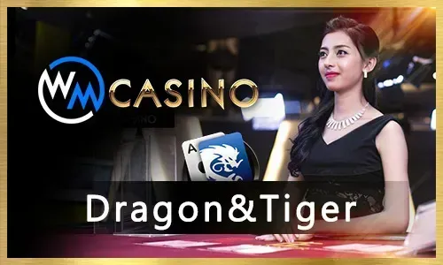 Live Casino Provider